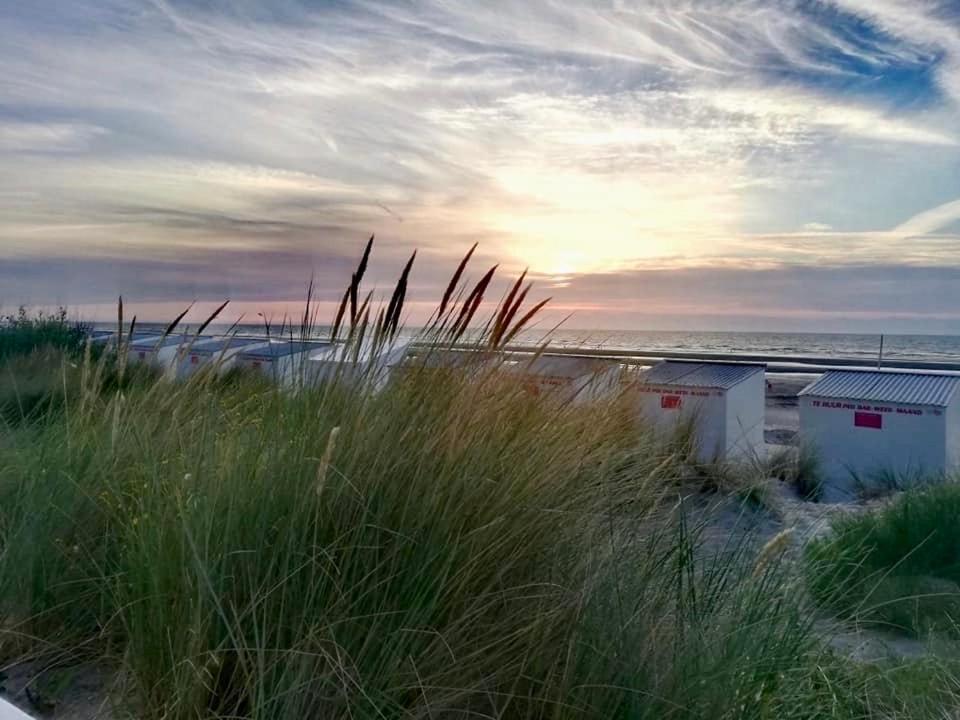 Seayousoon Nieuwpoort-Bad Exterior foto